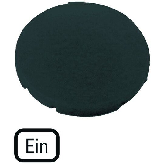 1. Bild