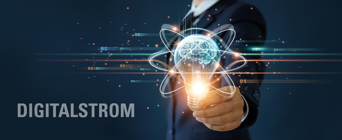 Person hält digitalSTROM Klemmen in der Hand | © Hard Schmitz GmbH